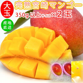 マンゴー 宮崎県 完熟 大玉 2Lサイズ 350g x2玉 果実 みやざき