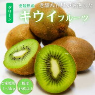 国産キウィ ご家庭用 贈答用 愛媛県産 ヘイワード種 1kg 2kg 5kg