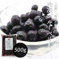 【5％OFFクーポン】ブルーベリー 冷凍 500g 1kg (500g x 2パック) 大粒 カナダ産 砂糖不使用 そのまま食…