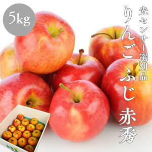  ӂ ԏG ZT[Iʕi ӂ 2kg 5kg 10kg XY 쌧Y ь  S 