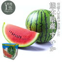 すいか 熊本県産 1玉（4kg以上） 2玉（合計約10kg） 化粧箱入り ギフト 贈答 完熟 西瓜 スイカ
