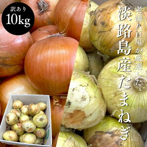 ʂ˂ WH 3kg 5kg 10kg TCYC(M`2L) Y 璃 ʔK ܂˂ ^}lM  ۑ 