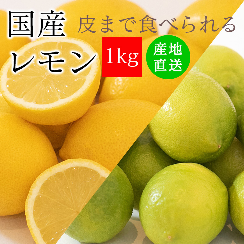広島県産レモン 農薬不使用 - 果物