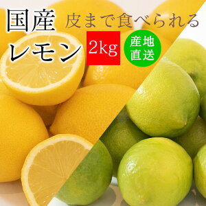  Y 󂠂 2kg  ܂ŐHׂ m[bNX h hJr sgp  LY  킯 s ʓ ʏ` 100  bNX sgp 傫 ܂ r^