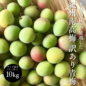 南高梅 10kg 3Lの人気商品・通販・価格比較 - 価格.com