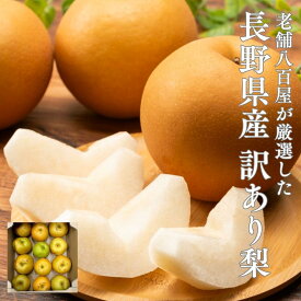 梨 訳あり ご家庭用 長野県産 3kg 5kg 10kg 品種お任せ（幸水 豊水 南水等のいずれか）なし 送料無料