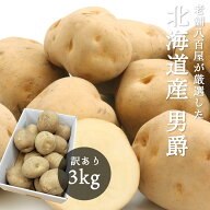 男爵 3kg 5kg 10kg 北海道産 じゃがいも サイズお任せ(M~2L) 訳あり 男爵イモ ジャガイモ 馬鈴薯 国産