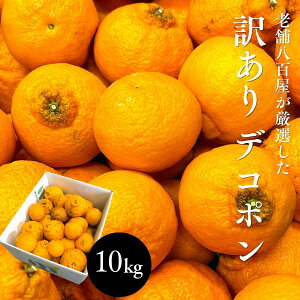 �y5��OFF�N�[�|���z�f�R�|�� �󂠂� �a�̎R�Y 2kg 5kg 10kg ���Y �ł��ۂ� �s�m�� ����ʂ� ���k �Â� ��� �� �݂���