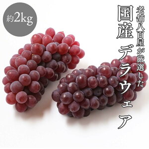 N[ց fEFA 1kg 4`8[ 2kg 󂠂  { R` Ԃǂ Y  x20xȏ