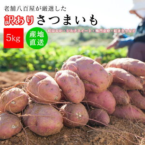 ܂ 5kg 󂠂  lߍ킹 i TCY Yn ܂ ( g͂邩 VNXC[g g܂  ) ܈ Tc}C 5L  t 錧  F s 