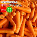 フルーツ人参 にんじん 5kg 10kg 訳あり 送料無料 ふるーつニンジン 5キロ 10キロ サイズ おまかせ 野菜 生活 新鮮 美…