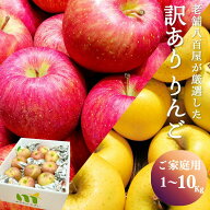 りんご 訳あり 10kg 送料無料 1kg 3kg 5kg 長野県産 家庭用 キズあり 訳ありりんご おまかせ品種 サンつ…
