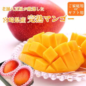 マンゴー 家庭用 ギフト 宮崎県 完熟 化粧箱 ＜ とろけるような甘さと食感 ＞化粧箱 2Lサイズ 350g x2玉 鑑定書付き 赤秀 ご家庭用 L~2Lサイズ 約300~350g×3玉