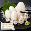 [みさわのやさい] コウイカ 約240g（20匹入） ベトナム産 生食用 刺身 冷凍 ボイル ひとくちサイズ 甲イカ いか