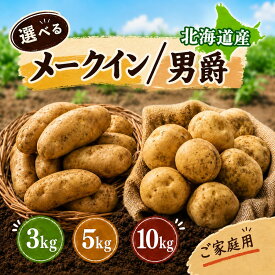 選べるメークイン or 男爵 じゃがいも 3kg 5kg 10kg 北海道産 訳あり 新鮮 じゃが芋 サイズお任せ(M~2L) 国産 訳あり 規格外