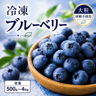 ブルーベリー 冷凍 500g/1kg (500g x 2パック) /2kg (500g x 4パック)/4kg (500g x 8パック) 大粒 カナダ…
