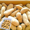 選べるメークイン or 男爵 じゃがいも 3kg 5kg 10kg 北海道産 訳あり 新鮮 じゃが芋 サイズお任せ(M〜2L) 国産