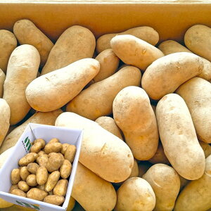 Iׂ郁[NC or j Ⴊ 3kg 5kg 10kg kCY 󂠂 VN Ⴊ TCYC(M`2L) Y