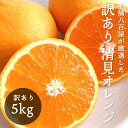 【5％OFFクーポン】清見オレンジ 3kg 5kg 10kg 和歌山産 訳あり ご家庭用 箱 きよみ 清見タンゴール
