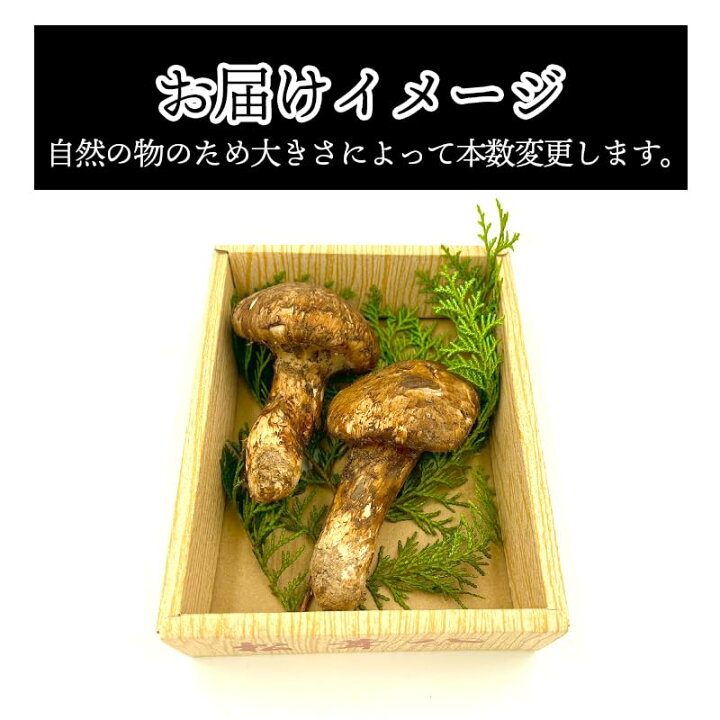 楽天市場】国産 松茸 訳あり 家庭用 100g 200g 300g 400g 500g 1kg 