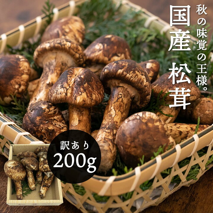 楽天市場】国産 松茸 訳あり 家庭用 100g 200g 300g 400g 500g 1kg 