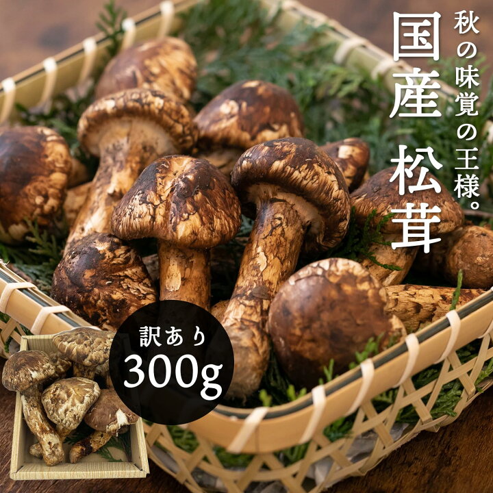 楽天市場】国産 松茸 訳あり 家庭用 100g 200g 300g 400g 500g 