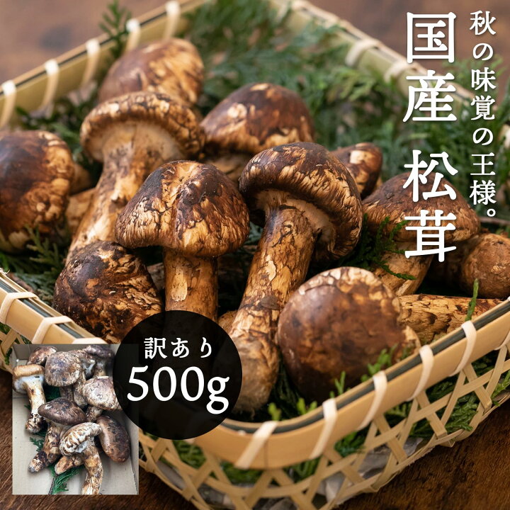 楽天市場】国産 松茸 訳あり 家庭用 100g 200g 300g 400g 500g 