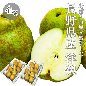m 󂠂 쌧Y 1kg 2kg 4kg i퍬 i킨C EtX EN`F I[ miV ƒp