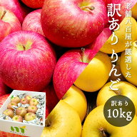 りんご 訳あり 10kg 送料無料 1kg 3kg 5kg 長野県産 家庭用 キズあり 訳ありりんご おまかせ品種 サンつ…