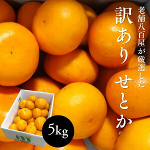 ���i�摜