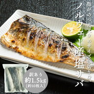 塩サバフィレ しおさば サバ 切り身 塩サバ 訳あり 冷凍 切り身 さば トロさば 約1.5kg（約10枚入り） ノ…