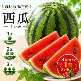 【今なら1玉プレゼント付】西瓜 スイカ すいか 長野県松本産 ご家庭用 1玉（5kg以上） 2-3玉（合計約10kg）3玉（合計15kg以上） 完熟 西瓜 スイカ 大玉 小玉 3玉以上ご購入で1玉無料プレゼント