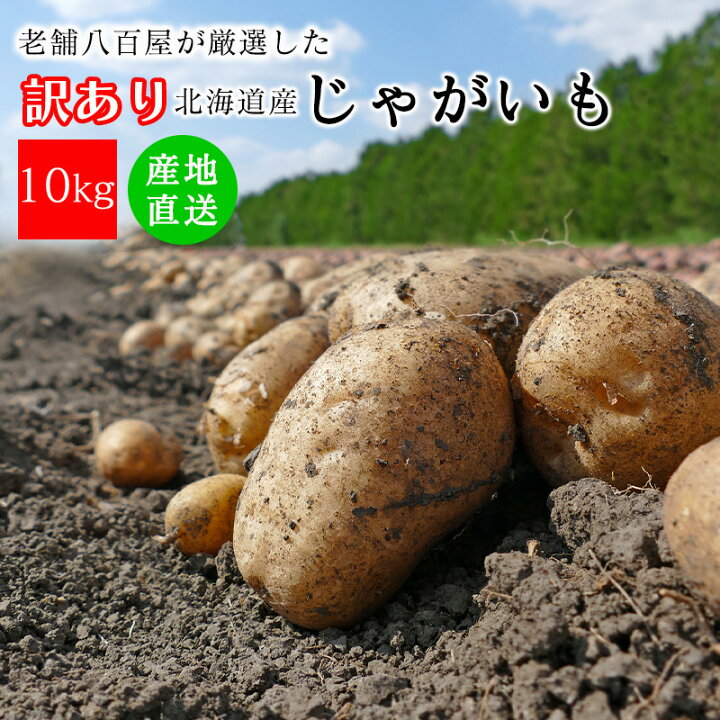 楽天市場】じゃがいも 5kg 10kg 訳あり メークイン 男爵 野菜 生活 
