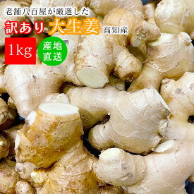 生姜 訳あり 1kg 高知県 美味しい 新鮮 おまかせ 野菜 生活 熨斗ラッピング対応 みさわの野菜