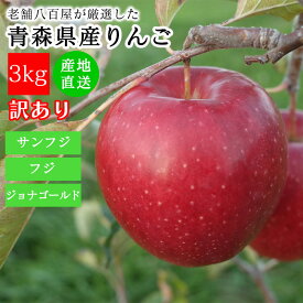 リンゴ りんご 訳あり 3kg 送料無料 青森県産 家庭用 キズあり おまかせ品種 サンフジ ふじ ジョナゴールド シナノゴールド 林檎 ご家庭用 果物 くだもの フルーツ アップル 箱 サイズ 不揃い 規格外 詰め合わせ 訳ありりんご 訳ありリンゴ 自宅用 箱買い 訳アリ