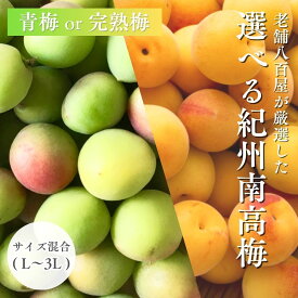 南高梅 生梅 完熟梅 青梅 訳あり サイズ混合( L～3L ) おまかせ 和歌山県 1kg 3kg 10kg うめ ご家庭用 紀州 なんこうばい