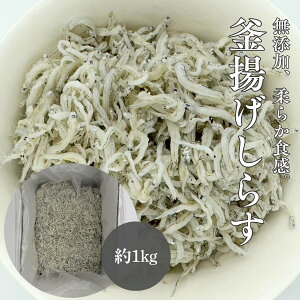 g炷 Y 1kg VX Ⓚ Y _炩H