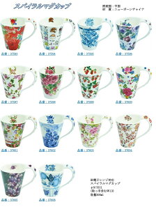 XpC}OJbv [Y o KN {[`Ci  }OJbv Mtg v[g H