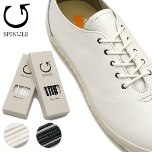 y11/15 őP22{zXsO SPINGLE V[[X CR [SPL9508] SPL-9508 YEfB[X ەR 3mm SP-1801/SP-1802 MOVE XsO y[։z K戵X