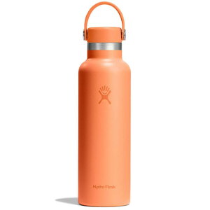 y10/18 őP24{znChtXN Hydro Flask nCh[V X^_[h}EX 621ml [8900120 FW25] HYDRATION 21oz STANDARD MOUTH YEfB[X XeX{g   ۉ ۗ 
