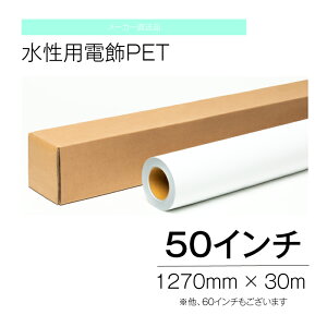 p dPET 50C` 1270mm ×30m CNWFbg y[J[iz