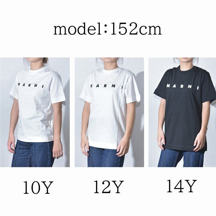 マルニキッズTシャツ12Y 