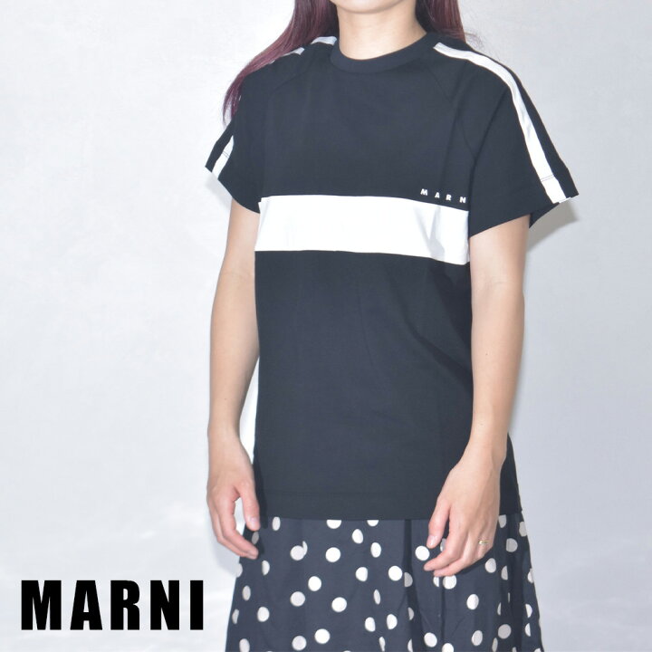 楽天市場】マルニ Tシャツ レディース 半袖 ストライプライン ブランド  