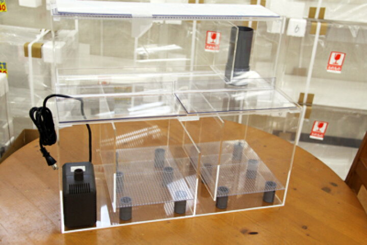 楽天市場】60×30×30オーバーフロー用ろ過槽水中ポンプ仕様 : 熱帯魚の  