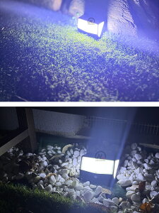 K[fCg \[[ O h@ZT[Cg O \[[Cgyő14ۏ؁z 3m\[h 468LED zd h \[[ lZT[ _ hƃCg ZT[