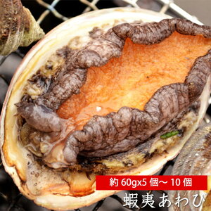 ڈ΂ 60g①  Ar  Mtg Ε  hg Xe[L o^[ VN L L ԏĂ G]Ar  ڈ΃Ar  蕨 CYMtg BBQ o[xL[ CNBB