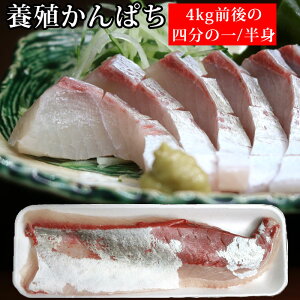 {Bς 4kg l̈^gpbN   NxQ  Jp`