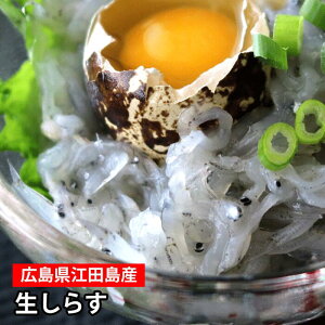 vԐY L]cY 炷 ߊCVNIオ̓pbN̂܂ܗłǂI Ԃ̐炷̓vՂ̐HŉQłB Y HׂTCYi