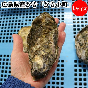  kty LTCY 1`1P[X LY Mpi①ցj