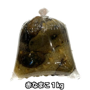 ԂȂ܂ 1kg`2kg QYȂ   i}R Cl i①ցjȂ܂| ~  _炩ԃi}R Cl CQ Ȃ܂ ̂킽 _C  h{ hg |̕ ݂낵@ 